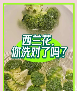 西兰花怎么弄 西兰花怎么弄