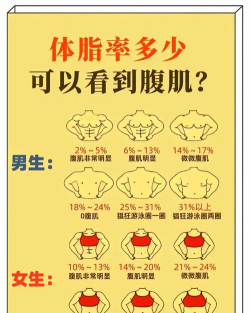 体脂率怎么算,掌握科学方法,轻松了解身体成分 体脂率怎么算,掌握科学方法,轻松了解身体成分