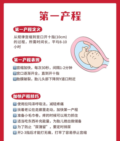 如何生孩子,了解生育过程,掌握备孕与分娩知识 如何生孩子,了解生育过程,掌握备孕与分娩知识
