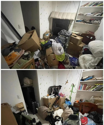 清理,告别杂乱空间,打造舒适生活 清理,告别杂乱空间,打造舒适生活