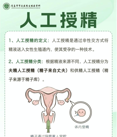 如何繁殖,掌握关键技巧,实现高效繁育 如何繁殖,掌握关键技巧,实现高效繁育