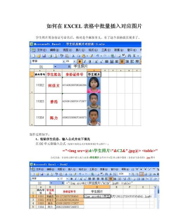 excel表格如何插入 excel表格如何插入