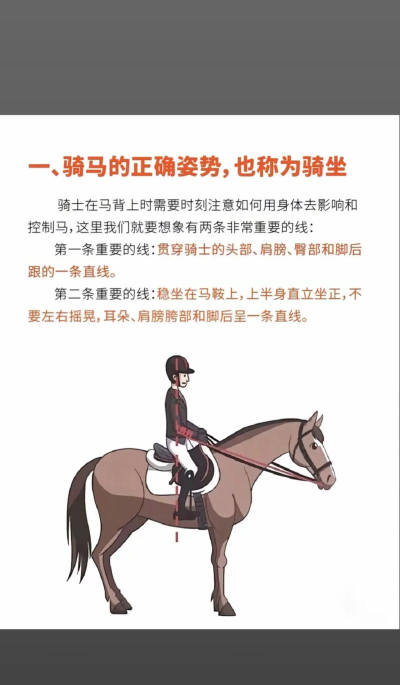 如何骑马,掌握基本技巧,享受安全骑行乐趣 如何骑马,掌握基本技巧,享受安全骑行乐趣