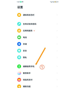 ipad怎么设置软件锁,保护隐私安全,防止误操作 ipad怎么设置软件锁,保护隐私安全,防止误操作