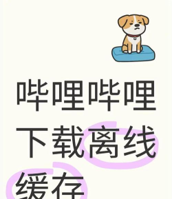 哔哩哔哩怎么缓存视频,轻松离线观看,解决网络困扰 哔哩哔哩怎么缓存视频,轻松离线观看,解决网络困扰