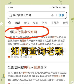 怎么查老赖,掌握查询方法与技巧,有效规避风险 怎么查老赖,掌握查询方法与技巧,有效规避风险