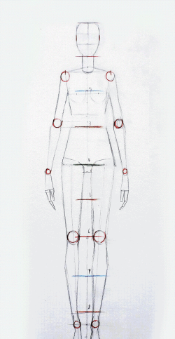人怎么画全身,掌握比例结构,轻松画出动态人体 人怎么画全身,掌握比例结构,轻松画出动态人体