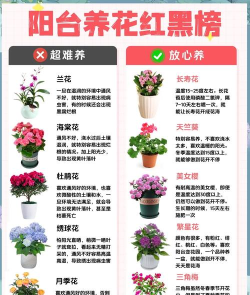 如何栽花,掌握正确步骤,打造美丽花园 如何栽花,掌握正确步骤,打造美丽花园