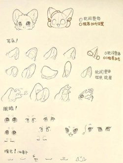 兽设怎么画,从零开始学,轻松掌握技巧 兽设怎么画,从零开始学,轻松掌握技巧