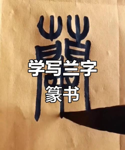 兰的繁体字怎么写,轻松掌握正确写法,了解汉字文化演变 兰的繁体字怎么写,轻松掌握正确写法,了解汉字文化演变