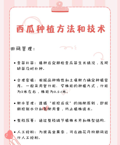 如何种西瓜,掌握关键技巧,实现高产优质 如何种西瓜,掌握关键技巧,实现高产优质