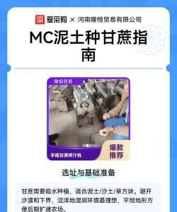 我的世界甘蔗怎么种,快速种植技巧,高效获取甘蔗方法 我的世界甘蔗怎么种,快速种植技巧,高效获取甘蔗方法