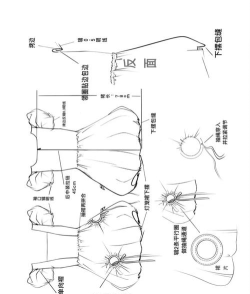 如何设计衣服,掌握基础步骤,激发创意灵感 如何设计衣服,掌握基础步骤,激发创意灵感