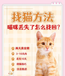 如何找猫,快速找回走失爱宠,掌握实用寻猫技巧 如何找猫,快速找回走失爱宠,掌握实用寻猫技巧