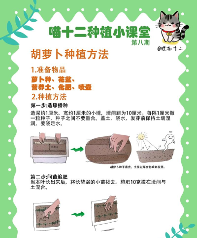 如何种植物,轻松掌握种植技巧,享受园艺乐趣 如何种植物,轻松掌握种植技巧,享受园艺乐趣