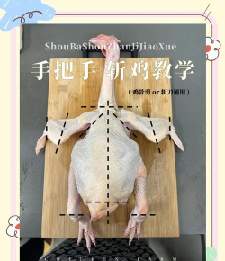 如何杀鸡,快速掌握技巧,轻松处理家禽 如何杀鸡,快速掌握技巧,轻松处理家禽