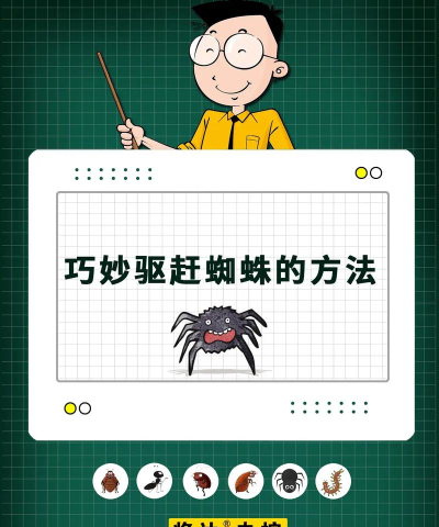 如何打蜘蛛,快速有效方法,安全驱赶技巧 如何打蜘蛛,快速有效方法,安全驱赶技巧