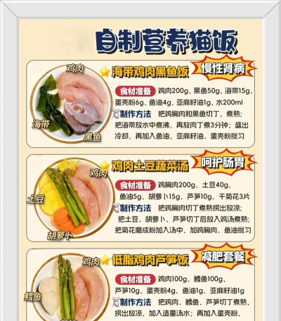 如何做猫粮,自制营养猫饭,猫咪健康饮食指南 如何做猫粮,自制营养猫饭,猫咪健康饮食指南