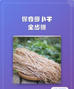 萝卜干怎么保存,防止发霉变质,保持香脆口感 萝卜干怎么保存,防止发霉变质,保持香脆口感