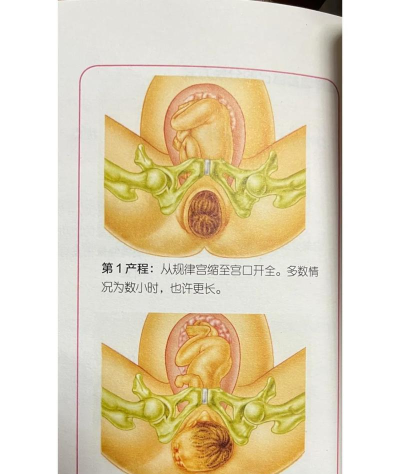 生娃,了解生育过程,做好充分准备 生娃,了解生育过程,做好充分准备