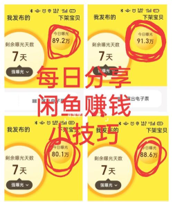 闲鱼怎么赚钱,掌握实用技巧,轻松实现副业增收 闲鱼怎么赚钱,掌握实用技巧,轻松实现副业增收