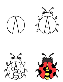 甲虫怎么画,简单步骤教学,轻松掌握绘画技巧 甲虫怎么画,简单步骤教学,轻松掌握绘画技巧