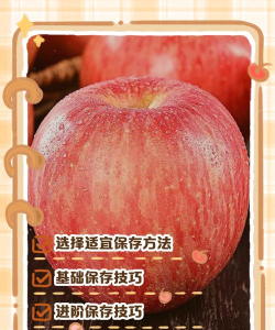 苹果怎么储存,保鲜更长久,口感更香甜 苹果怎么储存,保鲜更长久,口感更香甜
