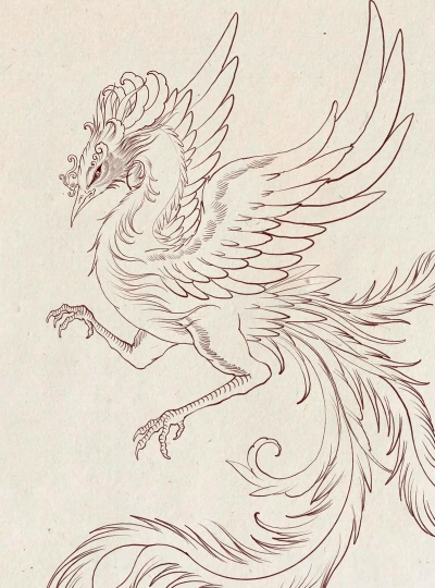 朱雀怎么画,掌握简单步骤,轻松画出神兽风采 朱雀怎么画,掌握简单步骤,轻松画出神兽风采