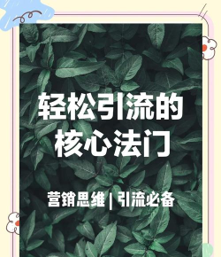 如何赚取流量,掌握核心方法,实现持续增长 如何赚取流量,掌握核心方法,实现持续增长