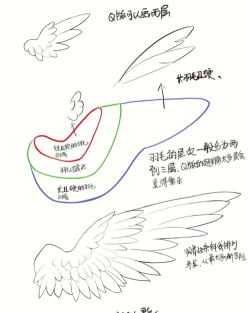 恶魔翅膀怎么画,掌握结构要点,轻松画出霸气翅膀 恶魔翅膀怎么画,掌握结构要点,轻松画出霸气翅膀