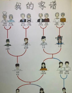 家谱图怎么画,轻松掌握绘制技巧,传承家族记忆与文化 家谱图怎么画,轻松掌握绘制技巧,传承家族记忆与文化
