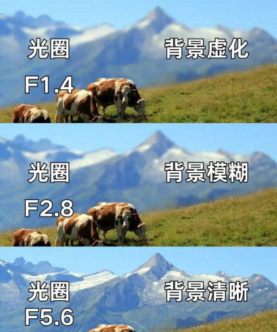 相机如何调亮度,掌握曝光三要素,轻松拍出理想照片 相机如何调亮度,掌握曝光三要素,轻松拍出理想照片