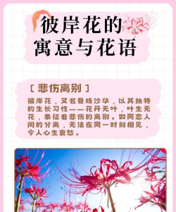 如何葬花,告别逝去的美好,让生命回归自然 如何葬花,告别逝去的美好,让生命回归自然