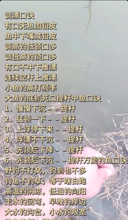 钓鱼怎么收杆,掌握正确技巧,避免跑鱼脱钩 钓鱼怎么收杆,掌握正确技巧,避免跑鱼脱钩