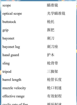 武器用英语怎么说,常见表达与例句,精准翻译技巧 武器用英语怎么说,常见表达与例句,精准翻译技巧