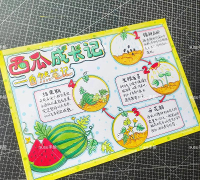 我的世界西瓜怎么种,掌握种植技巧,轻松收获美味西瓜 我的世界西瓜怎么种,掌握种植技巧,轻松收获美味西瓜