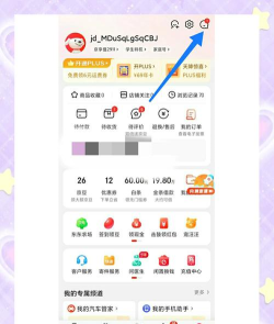 京东快递单号怎么查询,掌握多种查询方法,轻松追踪包裹物流 京东快递单号怎么查询,掌握多种查询方法,轻松追踪包裹物流
