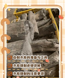 木炭怎么烧制,掌握传统方法,了解现代工艺 木炭怎么烧制,掌握传统方法,了解现代工艺