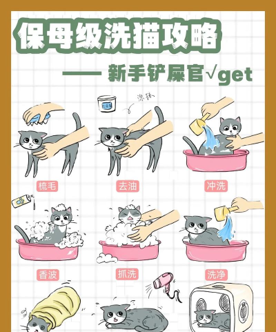 如何给小猫洗澡,轻松搞定洗澡难题,让猫咪爱上清洁时光 如何给小猫洗澡,轻松搞定洗澡难题,让猫咪爱上清洁时光