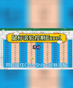 excel怎么设置鼠标上下滚动 excel怎么设置鼠标上下滚动