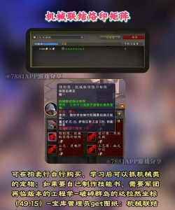 魔兽世界猎人怎么抓宠物,掌握驯服技巧,轻松捕获心仪伙伴 魔兽世界猎人怎么抓宠物,掌握驯服技巧,轻松捕获心仪伙伴