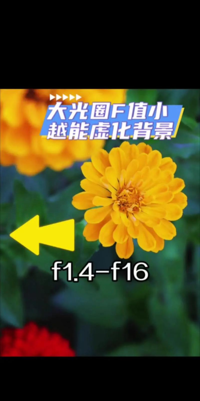 手机照片虚化怎么弄,轻松掌握虚化技巧,拍出专业感照片 手机照片虚化怎么弄,轻松掌握虚化技巧,拍出专业感照片