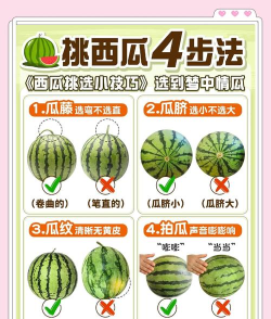 怎么西瓜,挑选技巧分享,美味吃法推荐 怎么西瓜,挑选技巧分享,美味吃法推荐