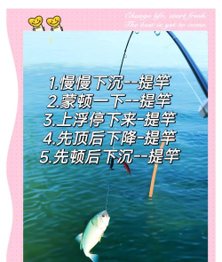 鱼竿怎么弄,新手入门指南,轻松掌握制作技巧 鱼竿怎么弄,新手入门指南,轻松掌握制作技巧