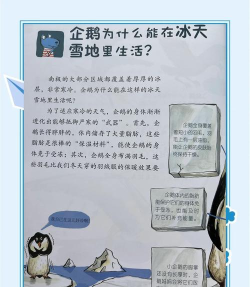 企鹅怎么,生活习性揭秘,南极生存之道 企鹅怎么,生活习性揭秘,南极生存之道