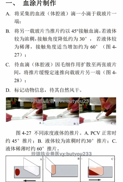 血怎么做,血液制作方法,血液制作步骤 血怎么做,血液制作方法,血液制作步骤