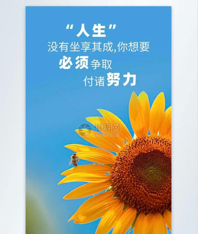 命运怎么样,掌握人生主动权,改写未来新篇章 命运怎么样,掌握人生主动权,改写未来新篇章