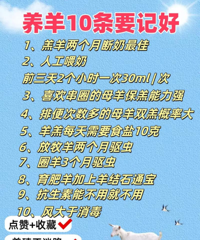 羊怎么养,掌握科学方法,轻松实现高效养殖 羊怎么养,掌握科学方法,轻松实现高效养殖