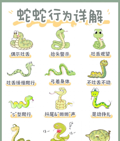 怎么找蛇,掌握野外寻蛇技巧,了解蛇类栖息环境 怎么找蛇,掌握野外寻蛇技巧,了解蛇类栖息环境