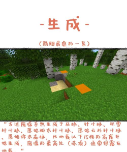 我的世界如何去墓地,探索神秘墓园,获取稀有资源 我的世界如何去墓地,探索神秘墓园,获取稀有资源